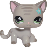 #0483 Shorthair Cat